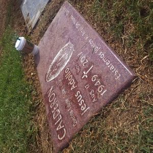 Meet your Posher, Daisy